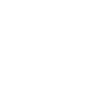 Speedometer