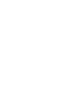Check Mark